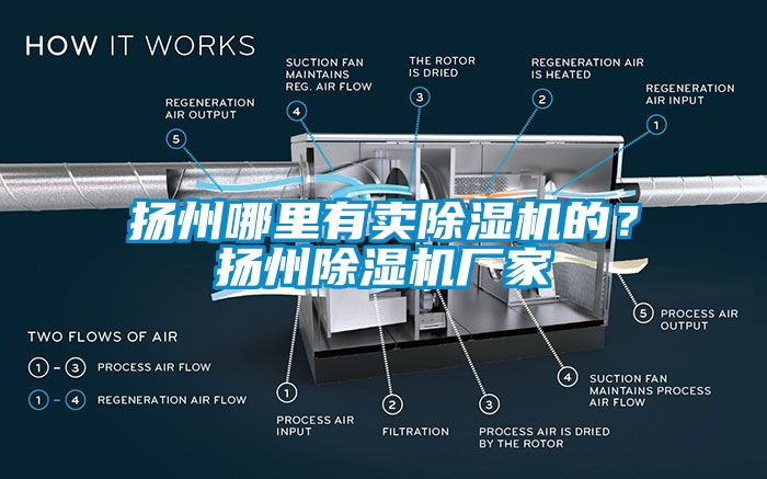 揚(yáng)州哪里有賣除濕機(jī)的？揚(yáng)州除濕機(jī)廠家