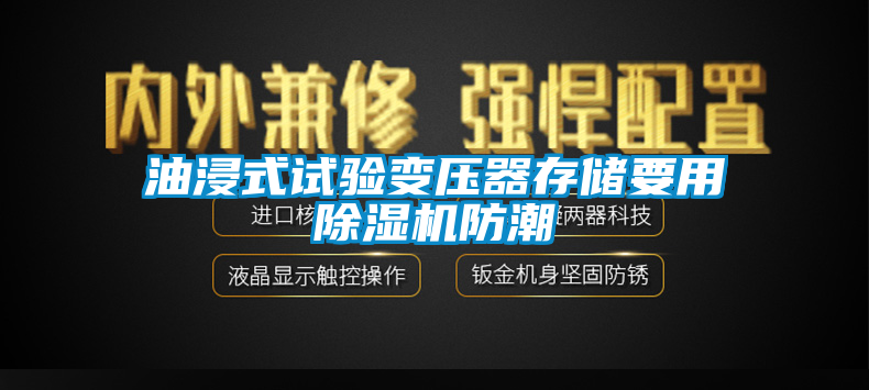 油浸式試驗(yàn)變壓器存儲(chǔ)要用除濕機(jī)防潮