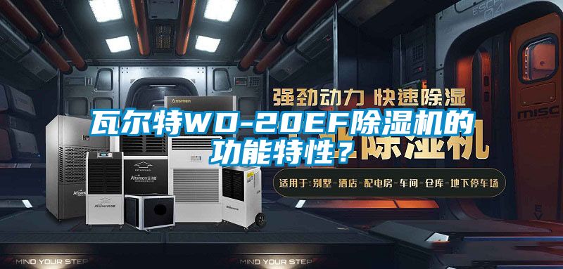 瓦爾特WD-20EF除濕機(jī)的功能特性？