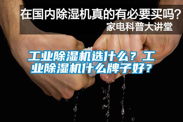 工業(yè)除濕機選什么？工業(yè)除濕機什么牌子好？