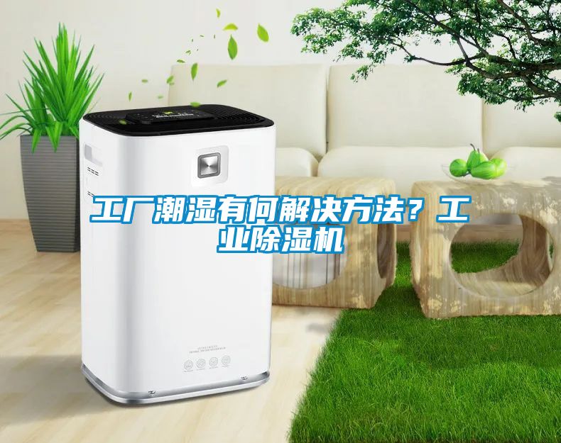 工廠潮濕有何解決方法？工業(yè)除濕機