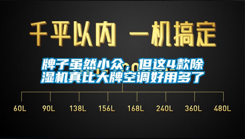 牌子雖然小眾，但這4款除濕機(jī)真比大牌空調(diào)好用多了