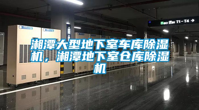 湘潭大型地下室車庫除濕機，湘潭地下室倉庫除濕機