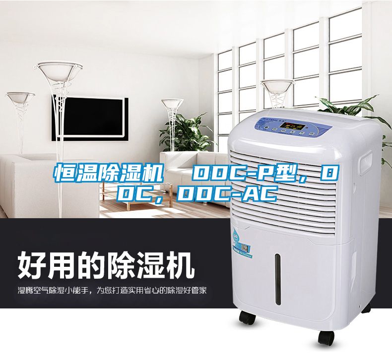 恒溫除濕機(jī)  DDC-P型，DDC，DDC-AC