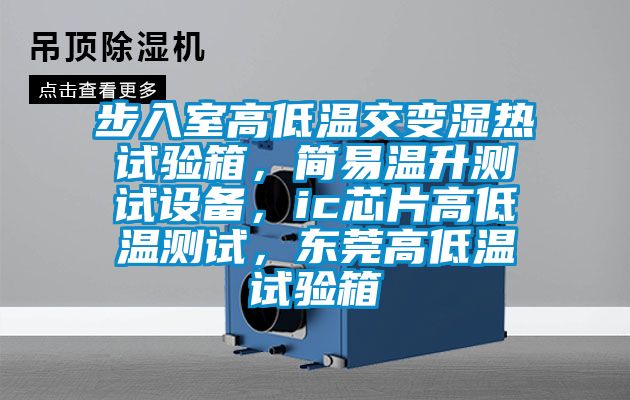 步入室高低溫交變濕熱試驗箱，簡易溫升測試設備，ic芯片高低溫測試，東莞高低溫試驗箱