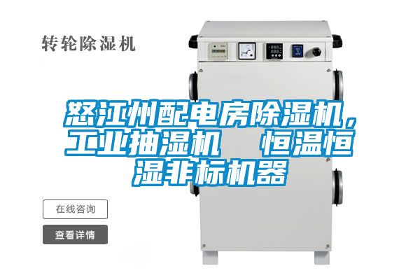 怒江州配電房除濕機，工業(yè)抽濕機  恒溫恒濕非標(biāo)機器