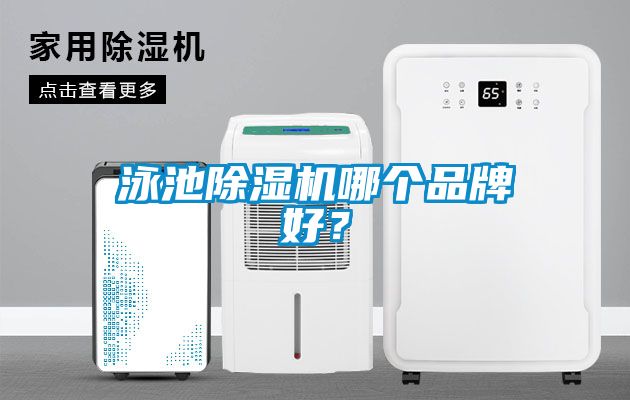 泳池除濕機哪個品牌好？