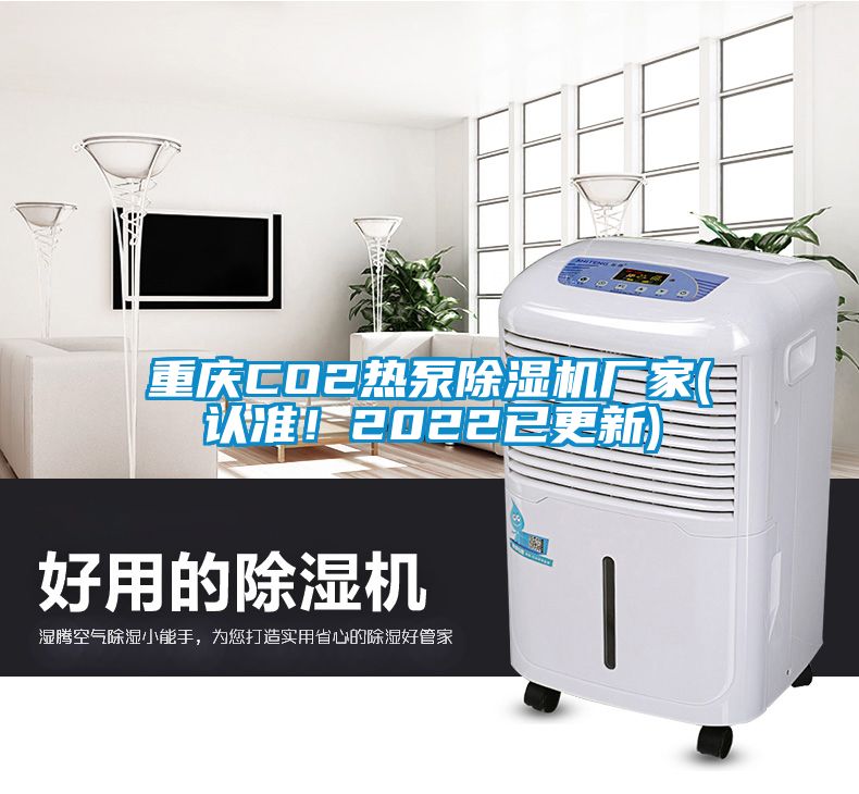 重慶CO2熱泵除濕機(jī)廠家(認(rèn)準(zhǔn)！2022已更新)