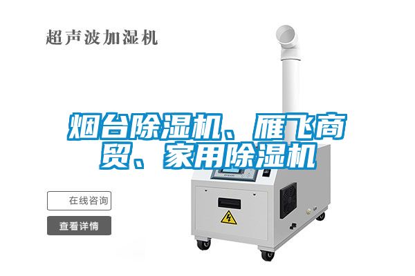 煙臺除濕機(jī)、雁飛商貿(mào)、家用除濕機(jī)