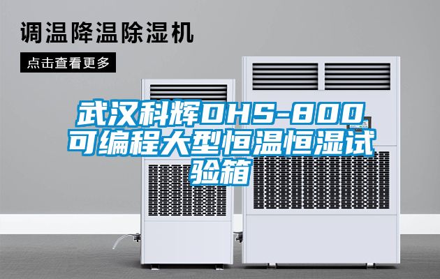 武漢科輝DHS-800可編程大型恒溫恒濕試驗(yàn)箱