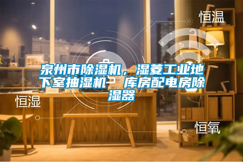 泉州市除濕機，濕菱工業(yè)地下室抽濕機  庫房配電房除濕器