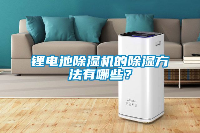 鋰電池除濕機(jī)的除濕方法有哪些？