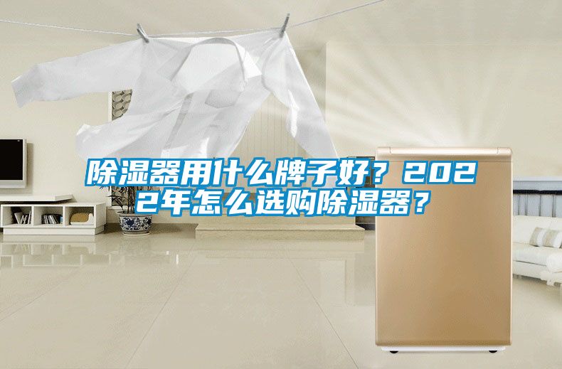 除濕器用什么牌子好？2022年怎么選購除濕器？