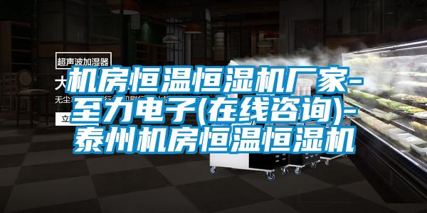 機(jī)房恒溫恒濕機(jī)廠家-至力電子(在線咨詢(xún))-泰州機(jī)房恒溫恒濕機(jī)