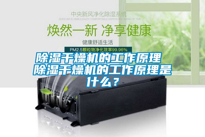 除濕干燥機(jī)的工作原理 除濕干燥機(jī)的工作原理是什么？