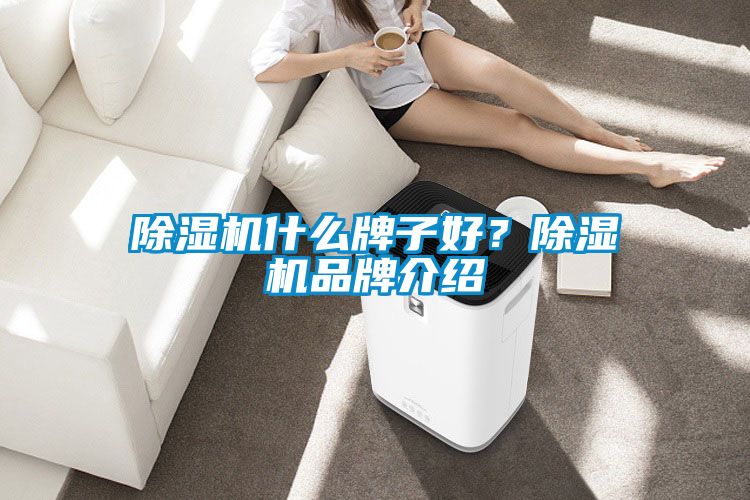 除濕機(jī)什么牌子好？除濕機(jī)品牌介紹