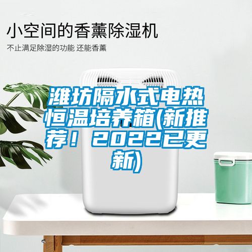 濰坊隔水式電熱恒溫培養(yǎng)箱(新推薦！2022已更新)