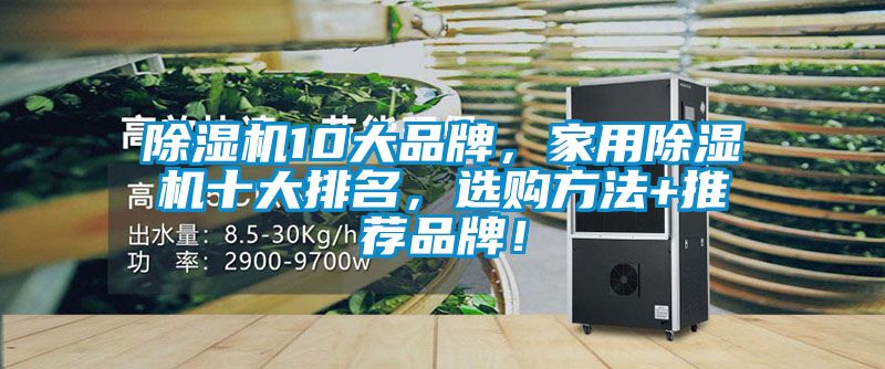 除濕機10大品牌，家用除濕機十大排名，選購方法+推薦品牌！