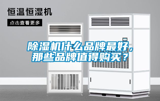 除濕機(jī)什么品牌最好，那些品牌值得購買？