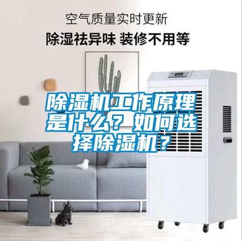 除濕機(jī)工作原理是什么？如何選擇除濕機(jī)？