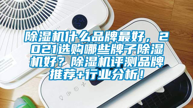 除濕機(jī)什么品牌最好，2021選購哪些牌子除濕機(jī)好？除濕機(jī)評測品牌推薦+行業(yè)分析！