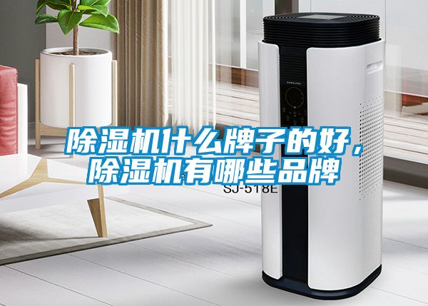 除濕機什么牌子的好，除濕機有哪些品牌