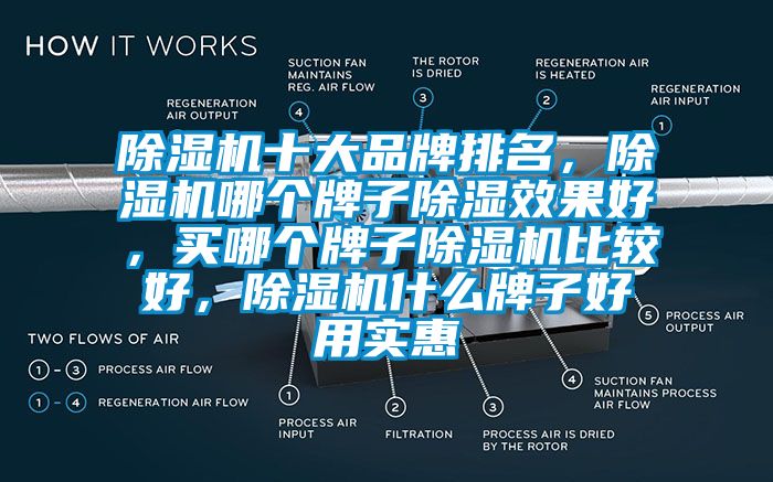 除濕機(jī)十大品牌排名，除濕機(jī)哪個(gè)牌子除濕效果好，買哪個(gè)牌子除濕機(jī)比較好，除濕機(jī)什么牌子好用實(shí)惠