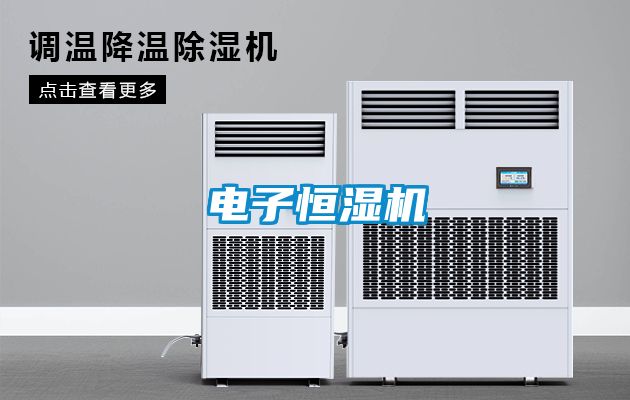 電子恒濕機(jī)