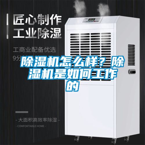 除濕機怎么樣？除濕機是如何工作的