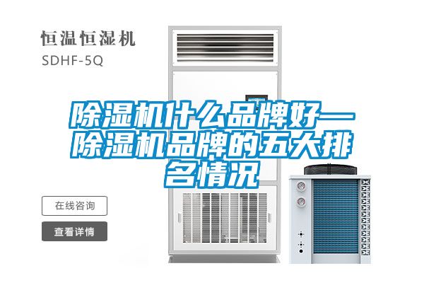 除濕機什么品牌好—除濕機品牌的五大排名情況