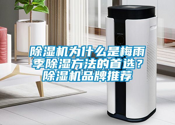 除濕機(jī)為什么是梅雨季除濕方法的首選？除濕機(jī)品牌推薦