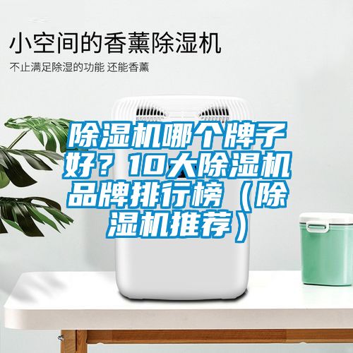 除濕機(jī)哪個(gè)牌子好？10大除濕機(jī)品牌排行榜（除濕機(jī)推薦）