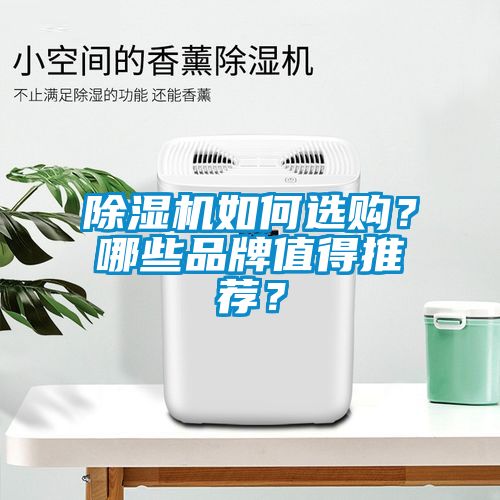 除濕機如何選購？哪些品牌值得推薦？