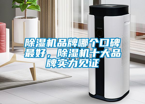 除濕機(jī)品牌哪個(gè)口碑最好，除濕機(jī)十大品牌實(shí)力見證