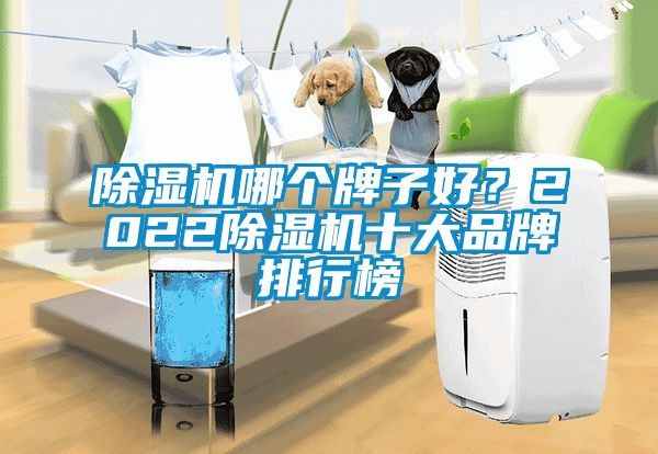 除濕機(jī)哪個(gè)牌子好？2022除濕機(jī)十大品牌排行榜