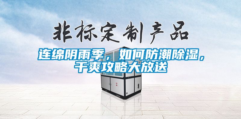 連綿陰雨季，如何防潮除濕，干爽攻略大放送