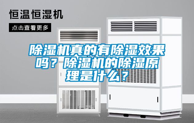 除濕機(jī)真的有除濕效果嗎？除濕機(jī)的除濕原理是什么？