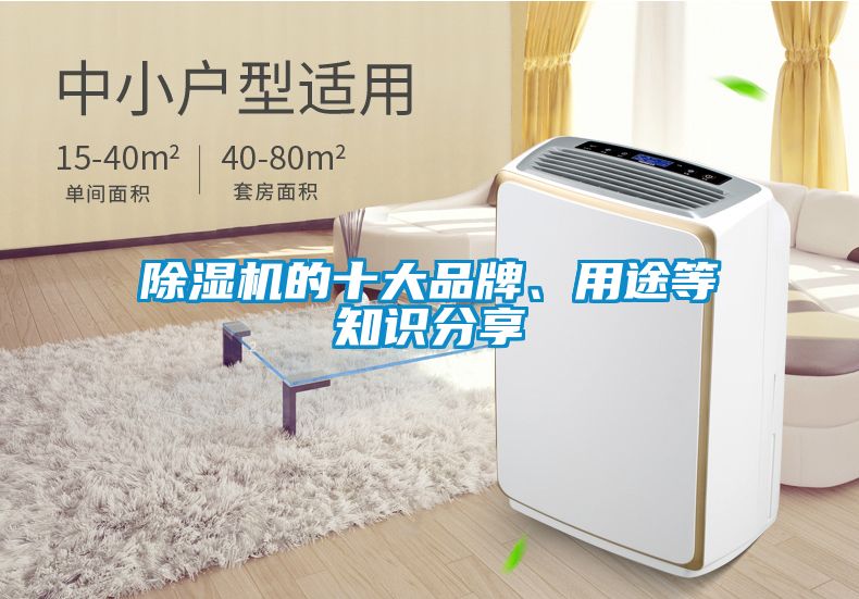 除濕機(jī)的十大品牌、用途等知識(shí)分享