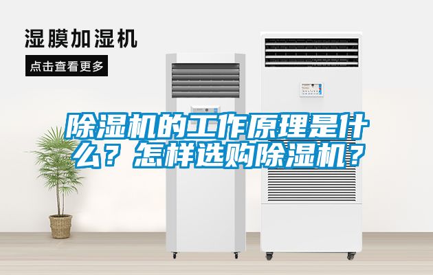 除濕機(jī)的工作原理是什么？怎樣選購除濕機(jī)？