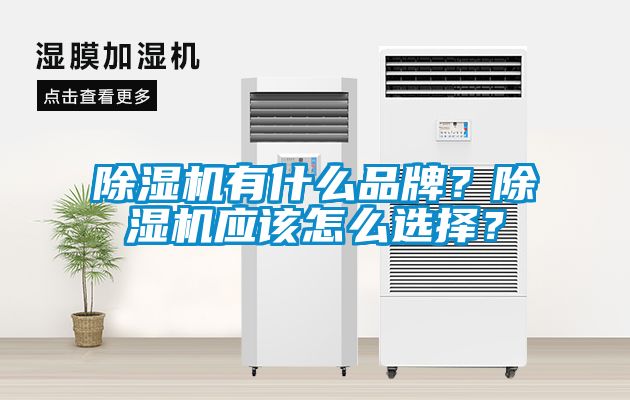 除濕機有什么品牌？除濕機應該怎么選擇？