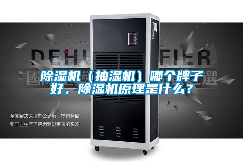 除濕機（抽濕機）哪個牌子好，除濕機原理是什么？