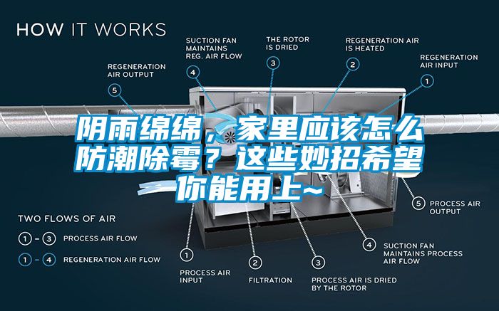 陰雨綿綿，家里應(yīng)該怎么防潮除霉？這些妙招希望你能用上~