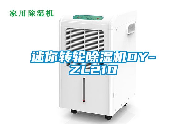 迷你轉輪除濕機DY-ZL210