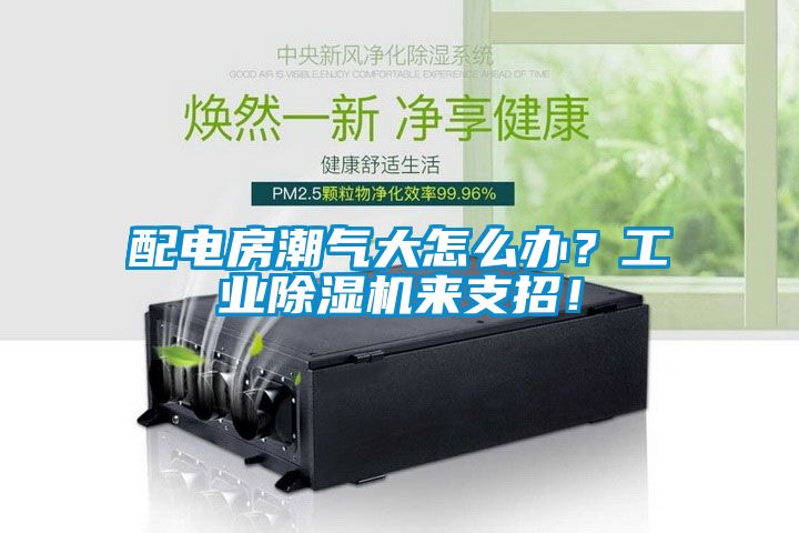 配電房潮氣大怎么辦？工業(yè)除濕機(jī)來支招！