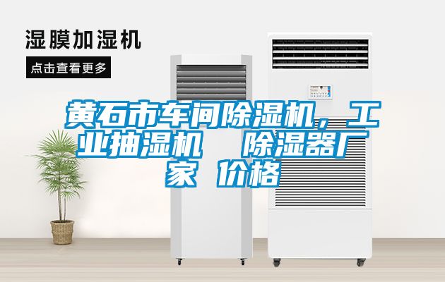 黃石市車間除濕機，工業(yè)抽濕機  除濕器廠家 價格