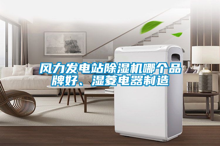 風(fēng)力發(fā)電站除濕機(jī)哪個品牌好、濕菱電器制造