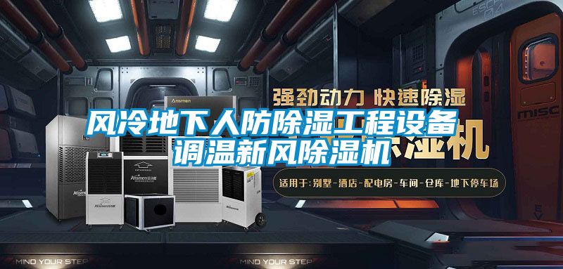 風冷地下人防除濕工程設備 調(diào)溫新風除濕機