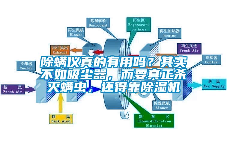 除螨儀真的有用嗎？其實不如吸塵器，而要真正殺滅螨蟲，還得靠除濕機(jī)